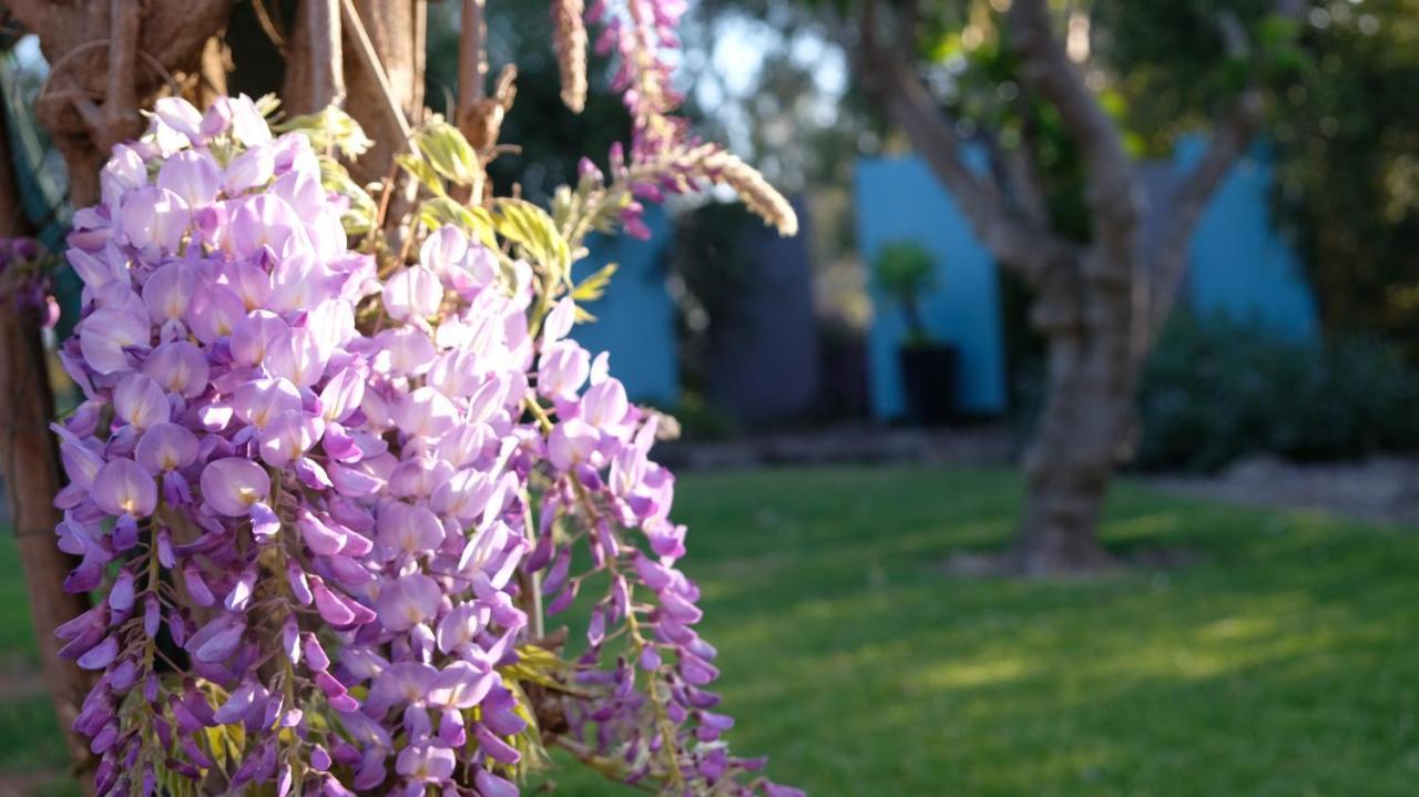 Loddon River Motel Kerang Εξωτερικό φωτογραφία